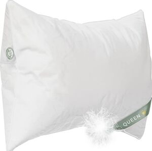 East Coast Bedding, Queen Size 800FP Goose Down Pillow, Pack of 1